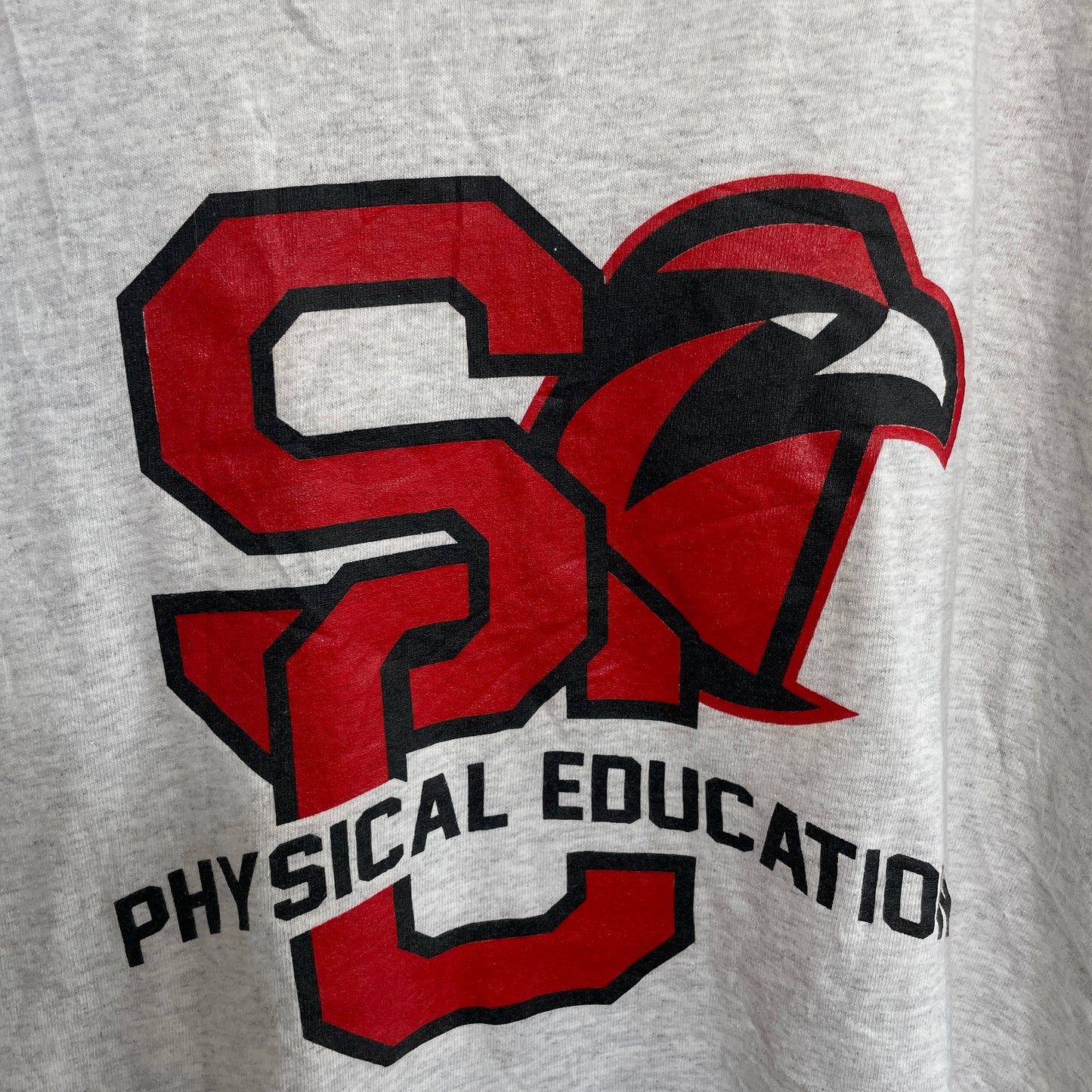 《L》 GILDAN ギルダン PHYSICAL EDUCATION Tシャツ