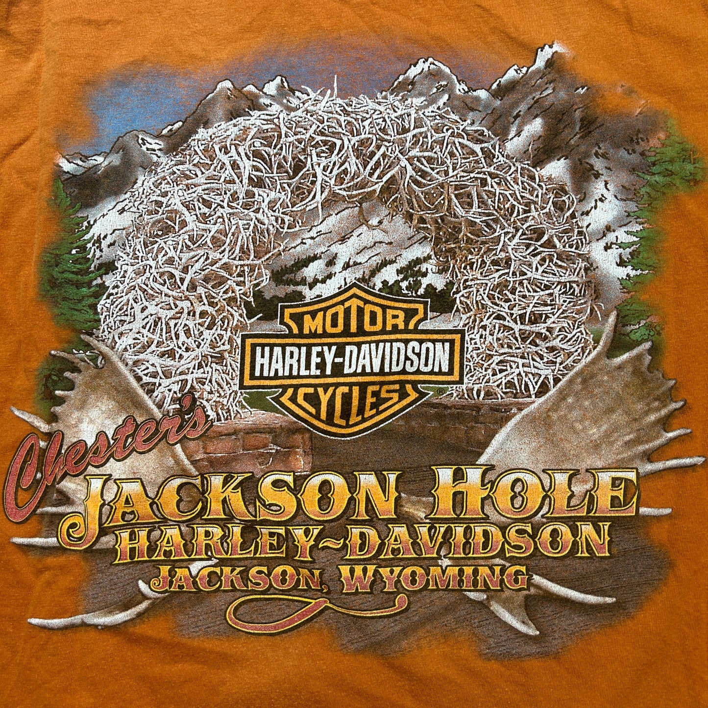 《XL》HARLEY DAVIDSON ハーレーダビッドソン プリントTシャツ 90s