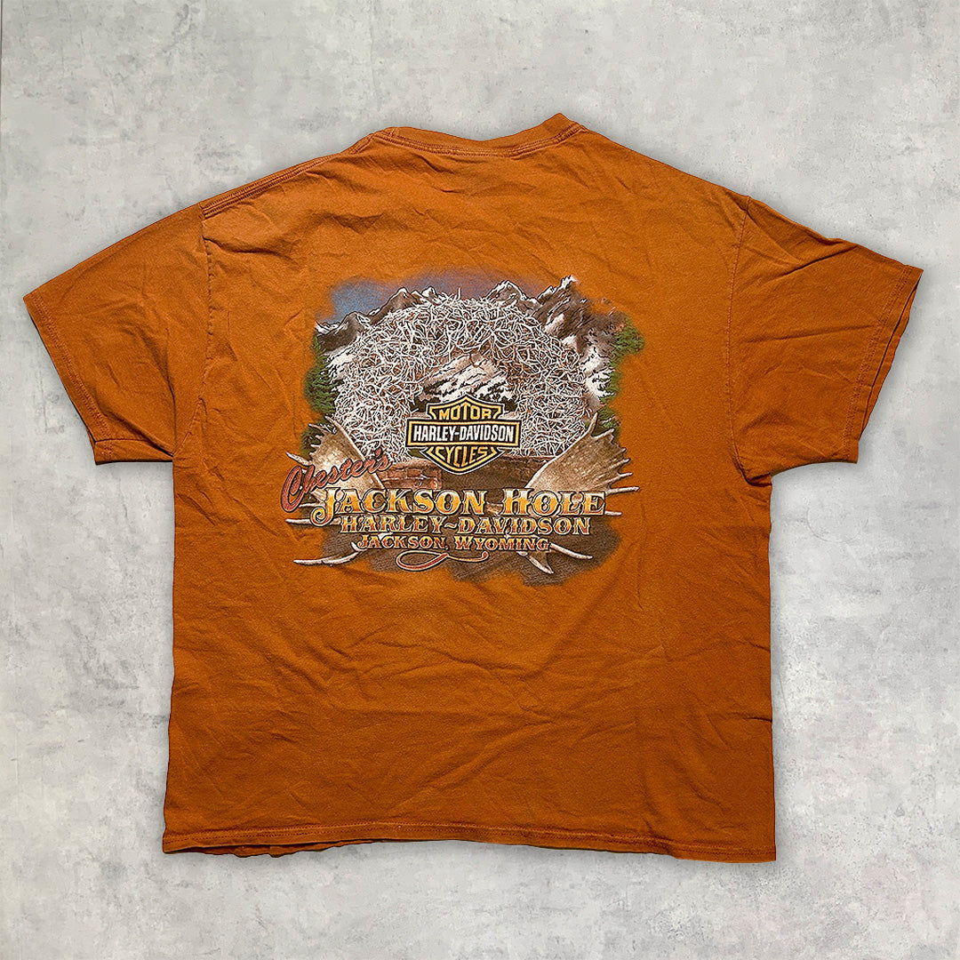 《XL》HARLEY DAVIDSON ハーレーダビッドソン プリントTシャツ 90s